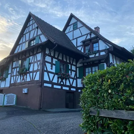 Basler Ferienwohnung Offenburg Exterior foto