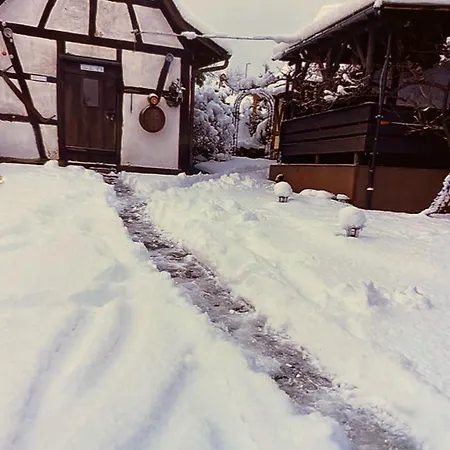Basler Ferienwohnung Offenburg Exterior foto