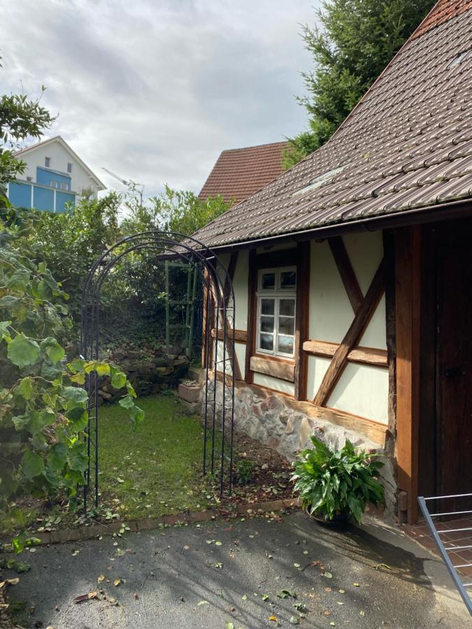 Basler Offenburg