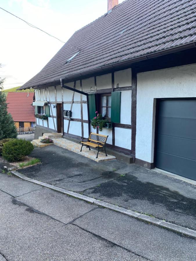 Basler Apartment
